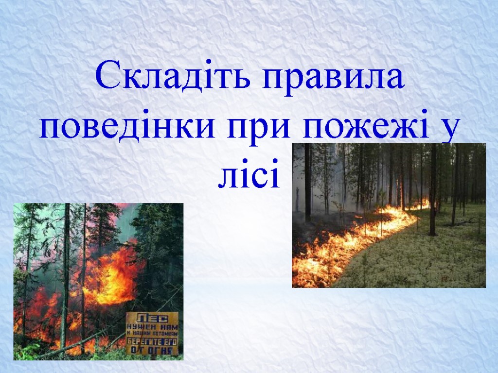 Складіть правила поведінки при пожежі у лісі